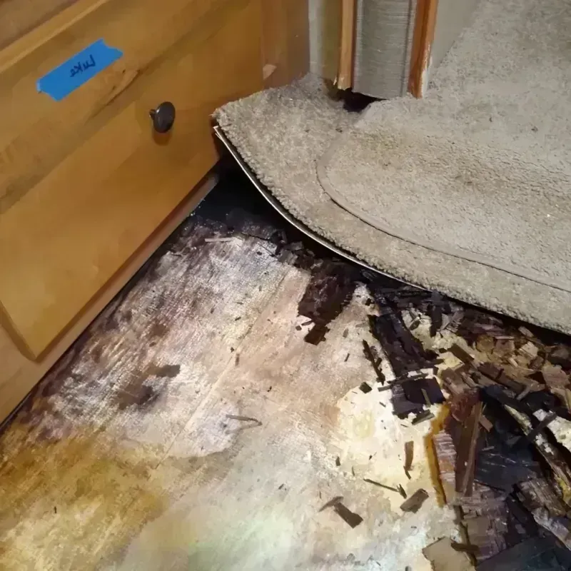 Wood Floor Water Damage in Sussex County, NJ